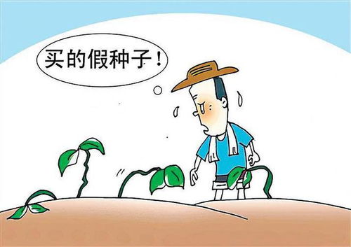 黑土地的“保卫战”