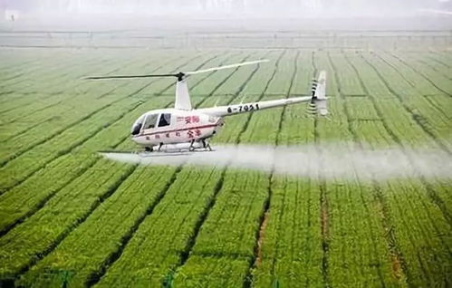 自制除草剂配方中，哪种比例的除草剂效果最好？