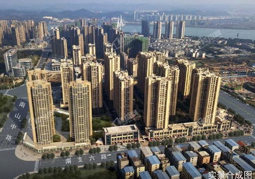 九百九十九朵玫瑰，哪个城市最贵
