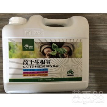 使用生根剂要注意什么