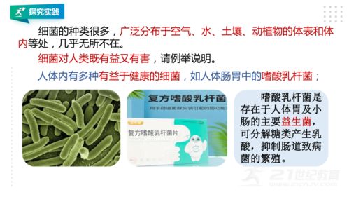 真菌， 那个让人头发丝儿dou竖起来的家伙