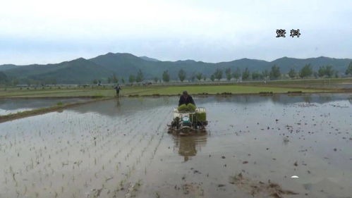 上海水源保护区禁用农药大盘点