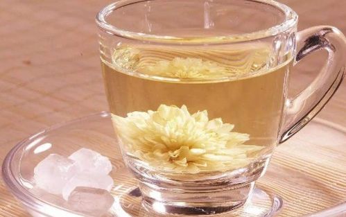 菊花泡水后变绿，还能饮用吗