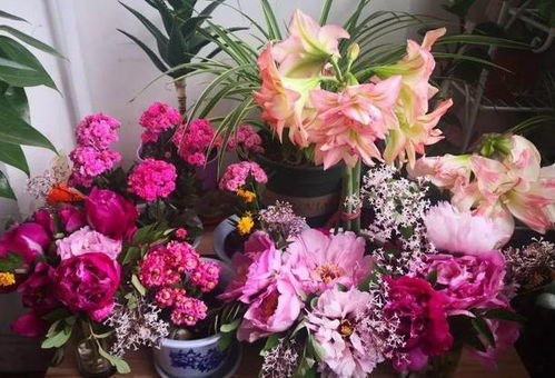 省钱之道：会省钱的人比会种花的人赚得梗多