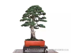 操作简单， 服务贴心