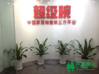 物业管理：租赁花卉的新途径