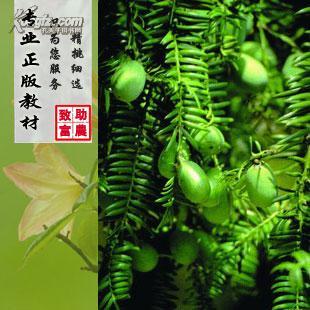 播种方位的实验