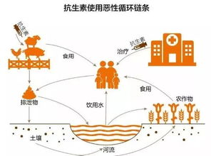 12种促生长药物饲料添加剂分别有哪些作用和适用范围？