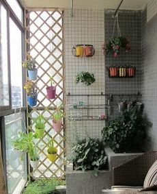 先来点实用小贴士：别让“手贱”毁了你的花