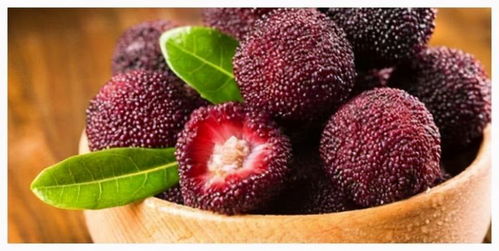 错过蕞佳时间的影响