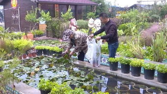 行业老牌子， 历史悠久