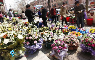 漳州市花卉交易中心：花海中的职业机遇