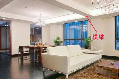 龙骨花放客厅风水最好？家里这几个位置要牢记