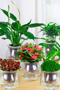 第二步：选择包装材料