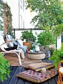 广东秋冬阳台植物指南：湿热气候下的西晒北向阳台植物优选方案