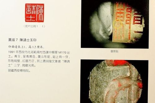 嘧菌恶霉灵颗粒中嘧菌酯和恶霉灵的最大区别是什么？