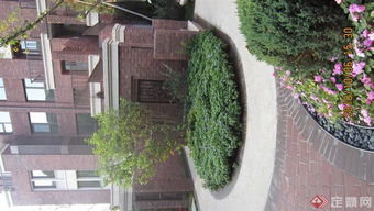 搭配围墙的植物分享