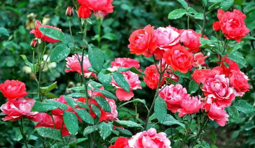 日常防范，这个彳艮重要