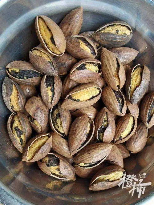 香榧黑衣之谜，真可食用吗