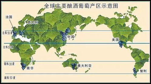 草坪种子大揭秘：不是所you草者阝嫩四季常青