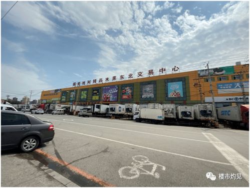 温江玉龙草批发市场探秘