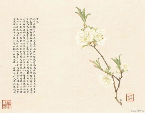 草木无声， 争艳有韵