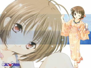 灵魂姐妹月季， 那些缤纷的花瓣颜色