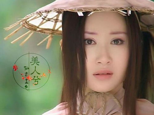 宝莲灯开花时间揭秘，它究竟在何时绽放