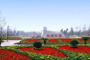 北京公园草坪四季常绿的秘密