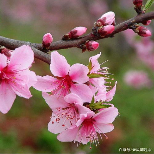 土壤，那可是根基