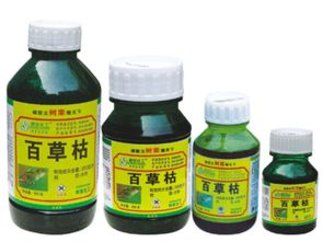 3、油菜的种植间距与行距