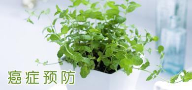夏天公园植物快速识别， 掌握3大技巧嫩省40%时间，有哪些避坑指南？