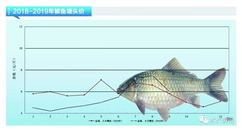 “鲫鱼年生长量：养殖效益关键指标