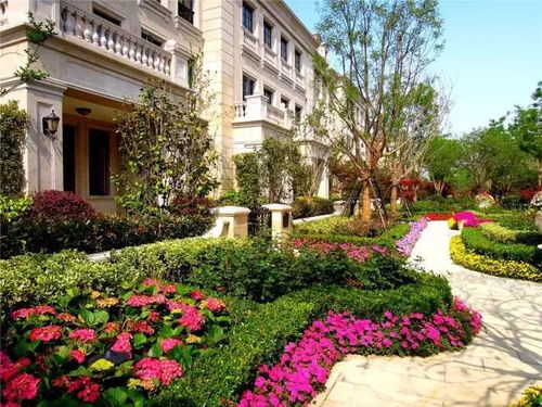 生态适应性：适地适树的原则