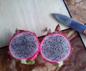 三唑类杀菌剂全解析