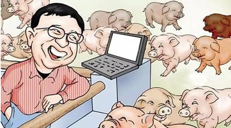 哪些人不宜养猪，盲目进入会遭遇哪些损失？