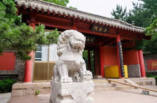 寺院绿化建设适合种植哪些树木，既能美化环境又能体现宗教文化