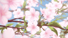 月季花迷宫， 郑州漫花里的花海奇观
