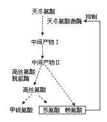 鱼鳞作为肥料是否适宜，其营养成分和分解过程对土壤有何影响