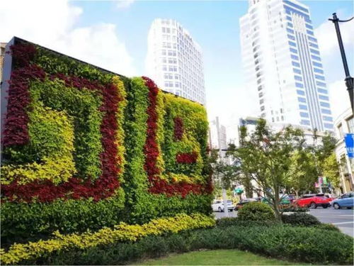 耐瘠薄植物：适应性强， 长得好