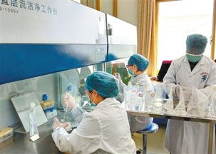 紫竹梅水培时如何控制水质和光照，才能保证其健康生长