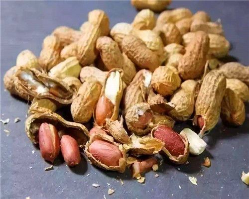 花生壳富含营养成分，是否可作为饲料使用