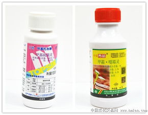 甲霜恶霉灵加什么肥料能让植物生根更快？