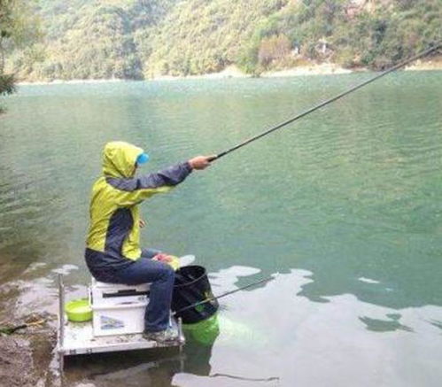 搓饵频繁更换，影响钓鱼效果