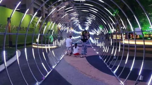 烟台摄影培训， 感悟自然之美