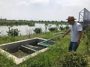 农药误喷鱼塘，紧急应对攻略