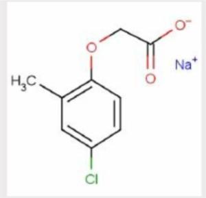 2甲4氯钠的“使用方法”