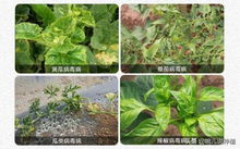 使用方法要讲究