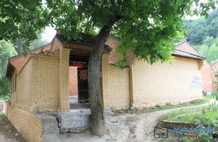 家门口种什么树风水好？资深风水师推荐