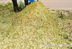 废弃树枝如何制作有机肥